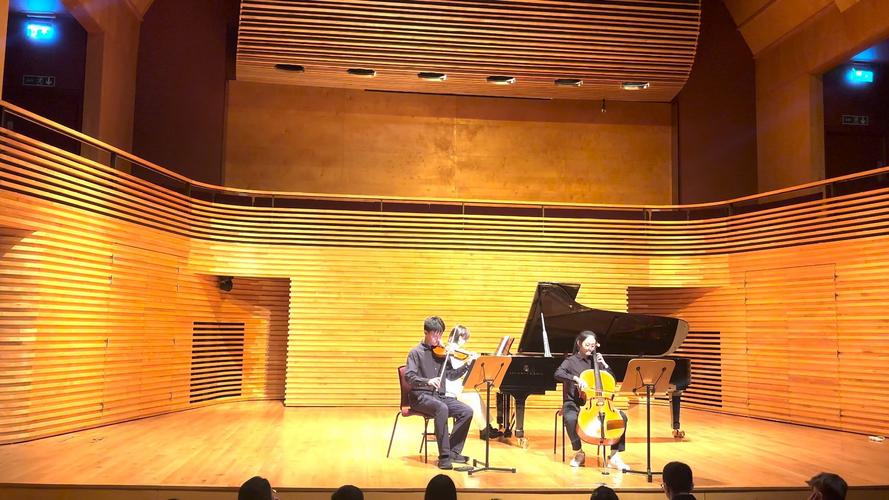 初中去新西兰读钢琴专业