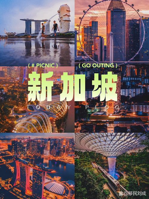 放弃了定居新加坡的机会