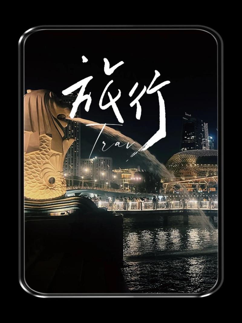 放弃了定居新加坡的机会