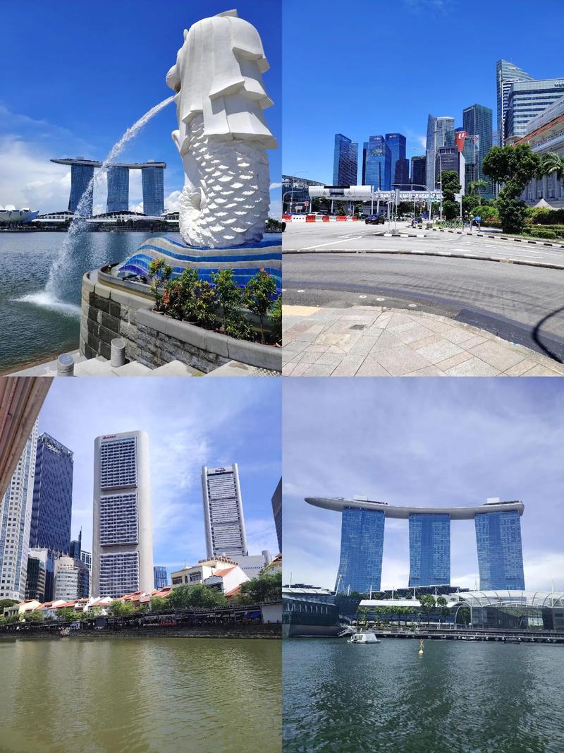 放弃了定居新加坡的机会