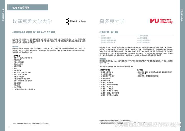 新加坡硕士毕业论文70