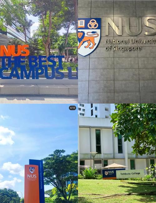 伦敦大学国际项目新加坡