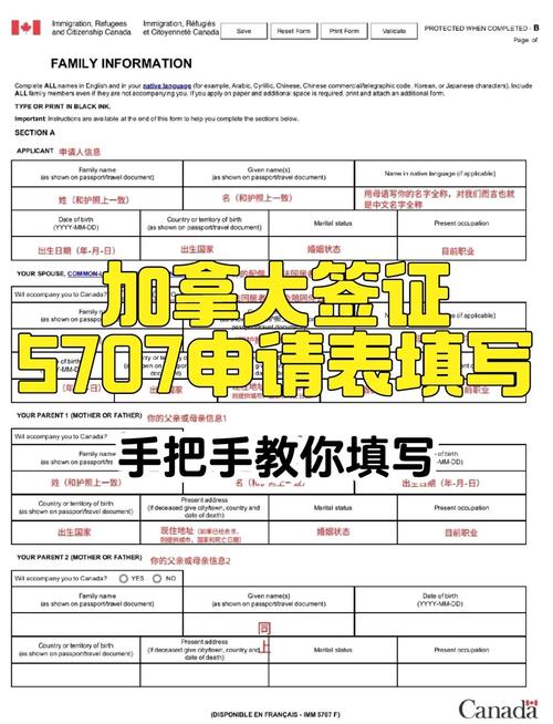 加拿大签证 网申 付款