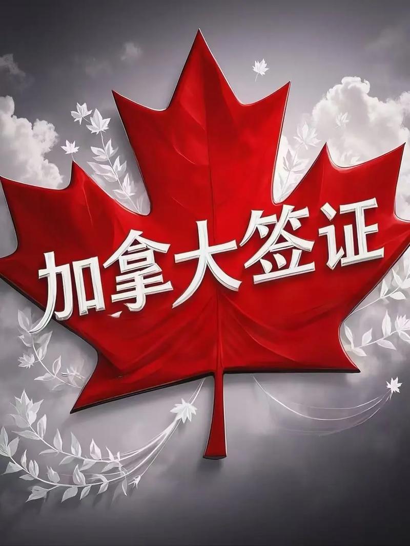 加拿大 参加会议 签证