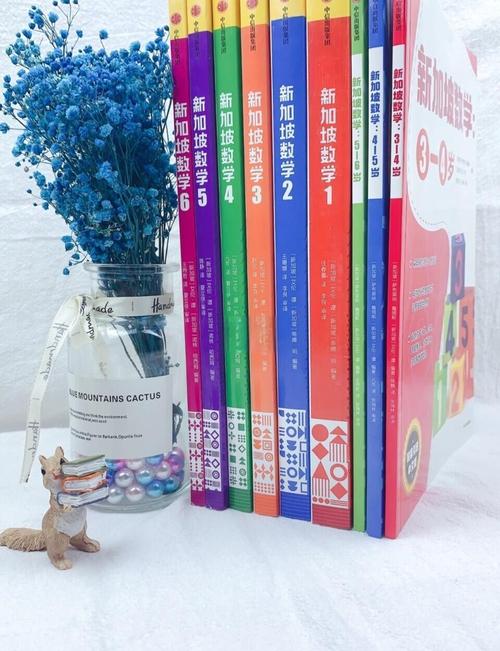 新加坡初中用什么教材好