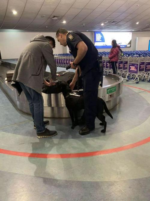 去新西兰可以带多少现金