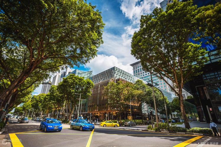 新加坡学生签证转工作签