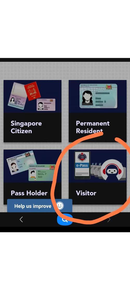中国身份去新加坡的要求