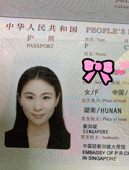 中国身份去新加坡的要求