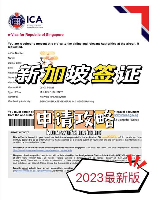 中国身份去新加坡的要求