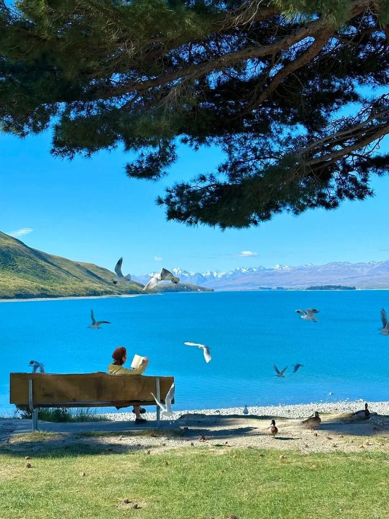 什么手机在新西兰能用吗