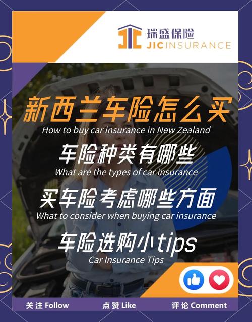 去新西兰放学买什么保险