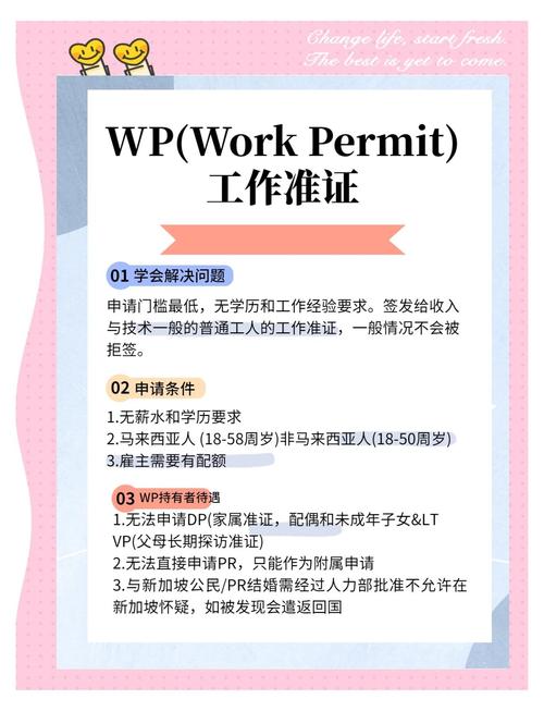 新加坡wp体检都检什么
