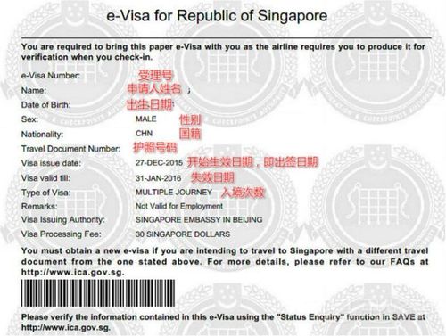 新加坡幼儿留学签证申请