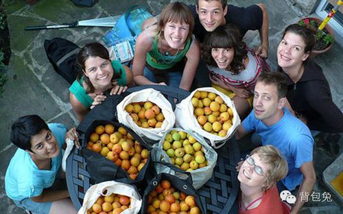 新西兰打工签证能赚钱吗