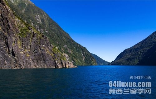 新西兰查询签证中心官网