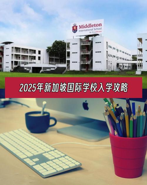 初中毕业想考新加坡学校