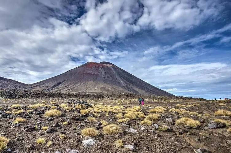 新西兰3年多次往返签证