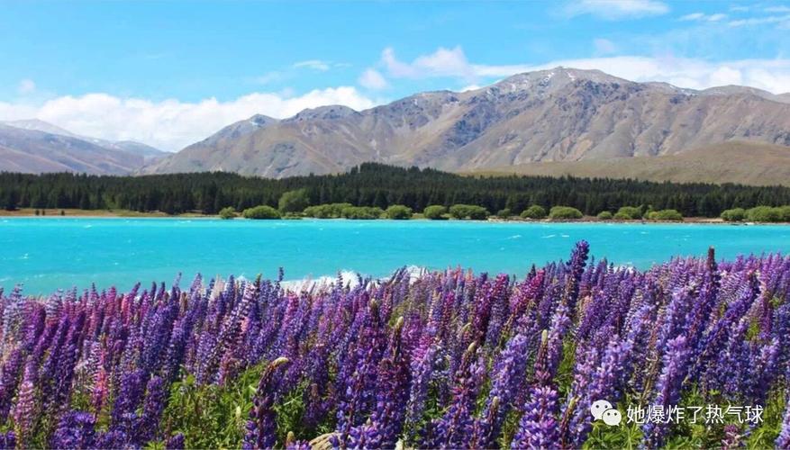 有澳洲签证可以去新西兰