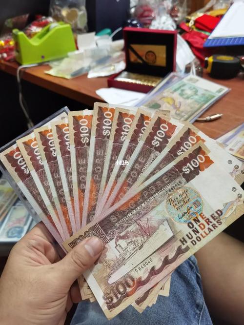 100新加坡币能买什么