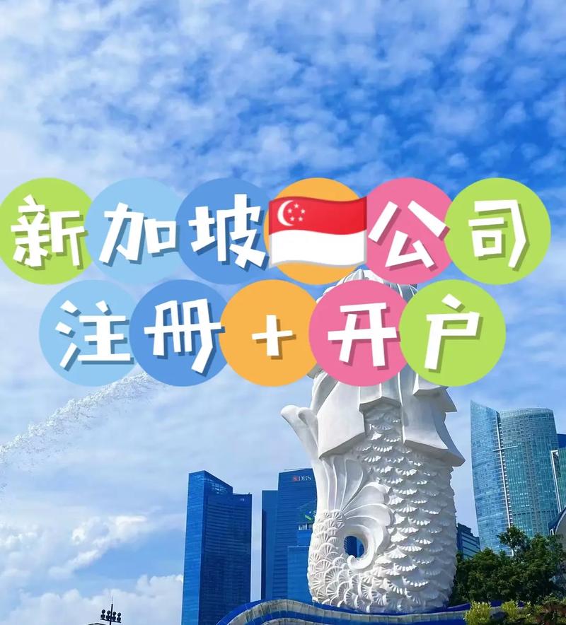 在新加坡注册的公司so