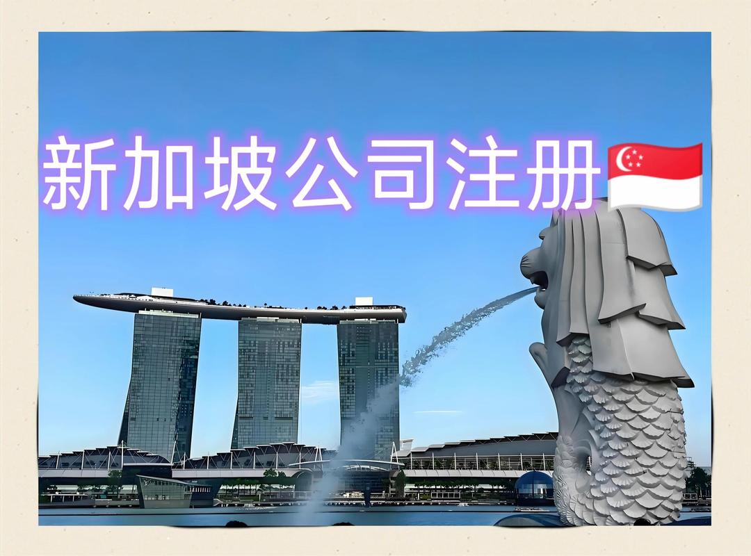 在新加坡注册的公司so