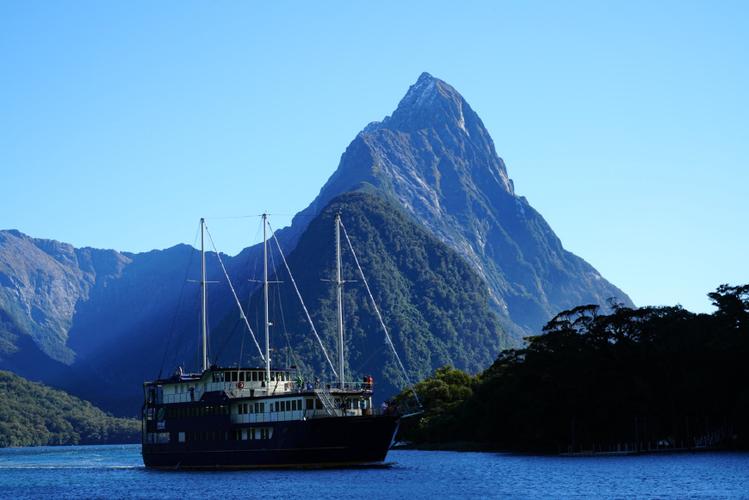 如何查询新西兰签证状态