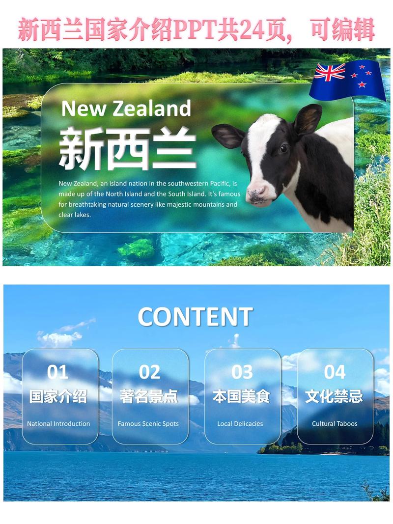 新西兰爱尔兰英语怎么说