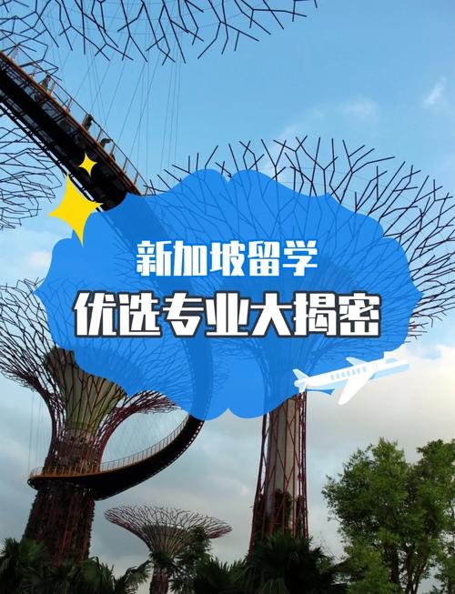 新加坡留学最吃香的专业