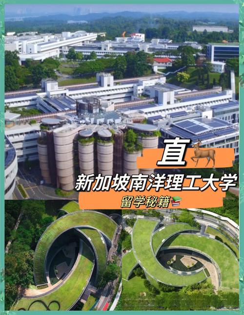 新加坡学什么技术最吃香