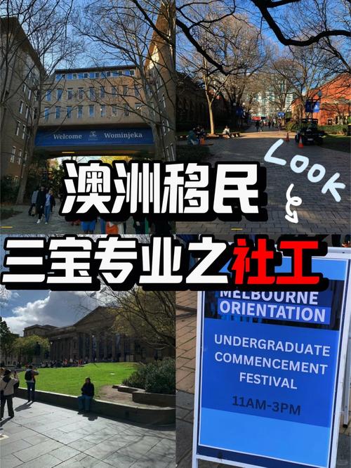 it在澳洲是移民专业吗