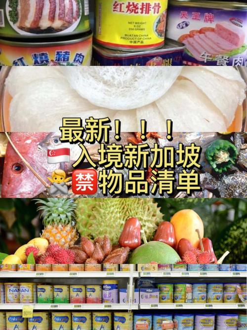 去新加坡留学要带的东西