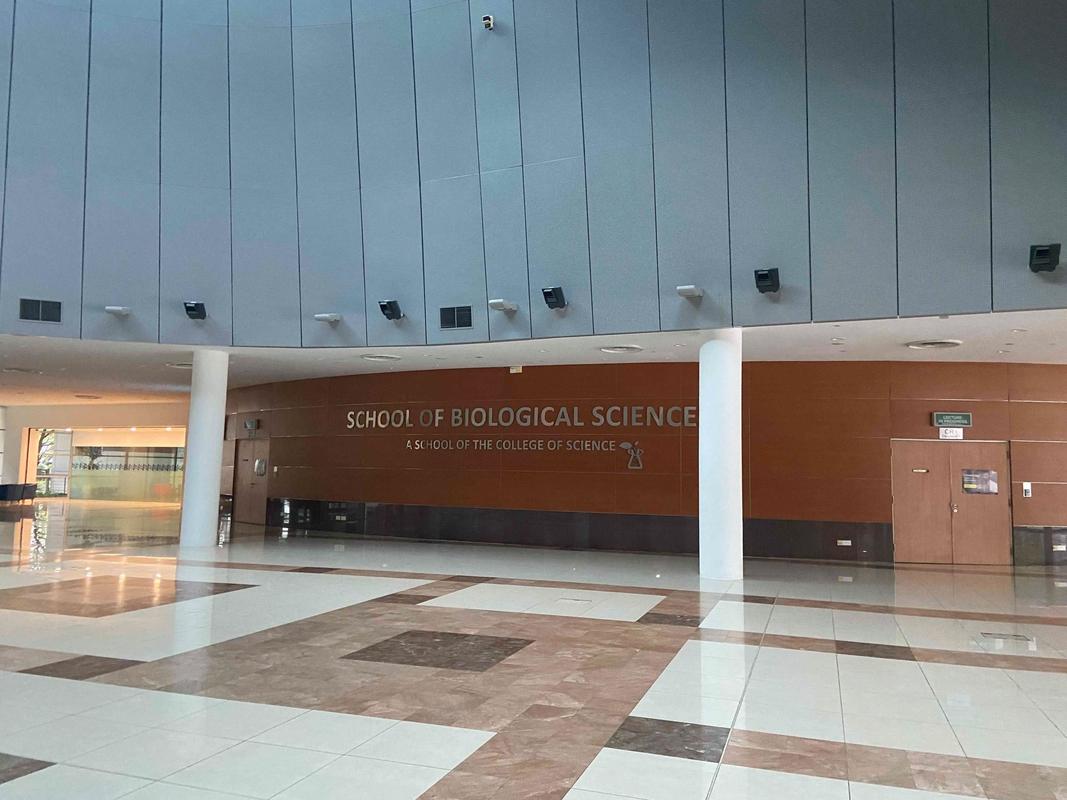 广东新加坡留学中介机构