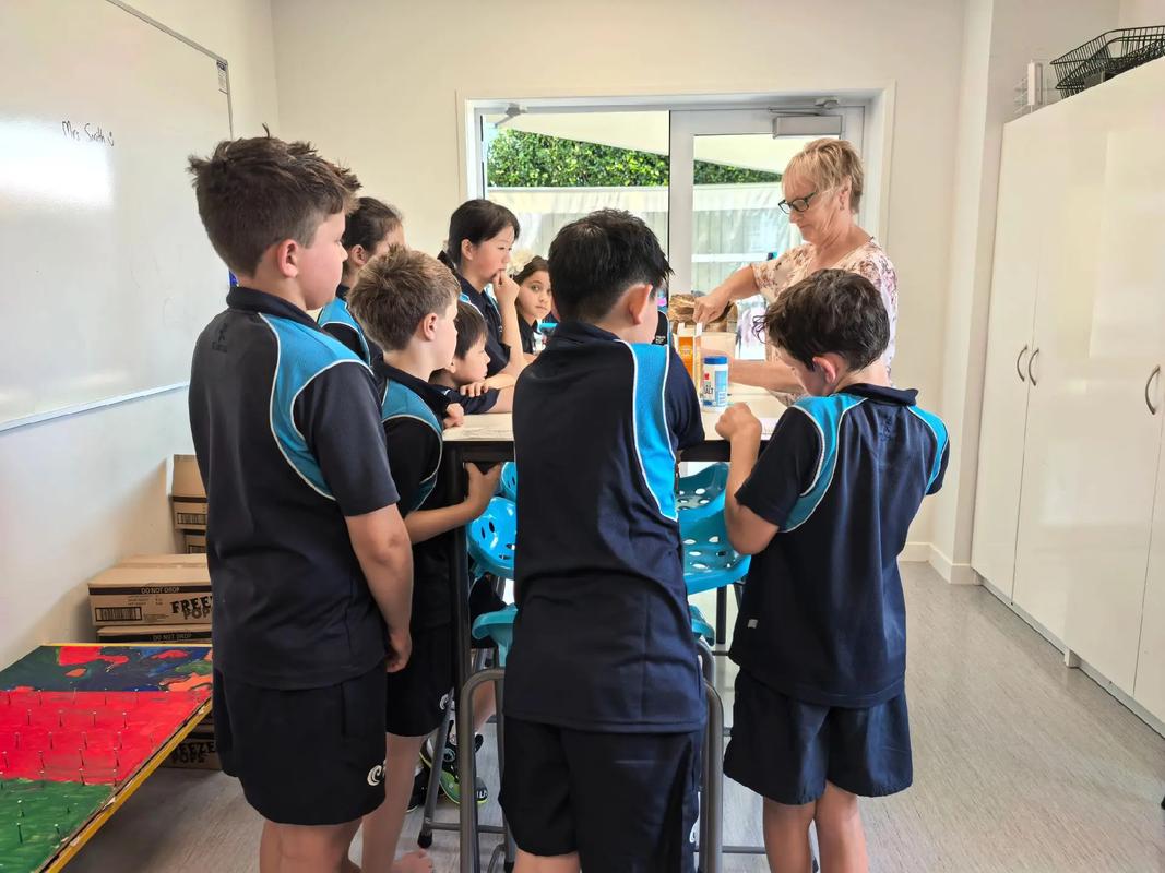 新西兰华人家长小学英语