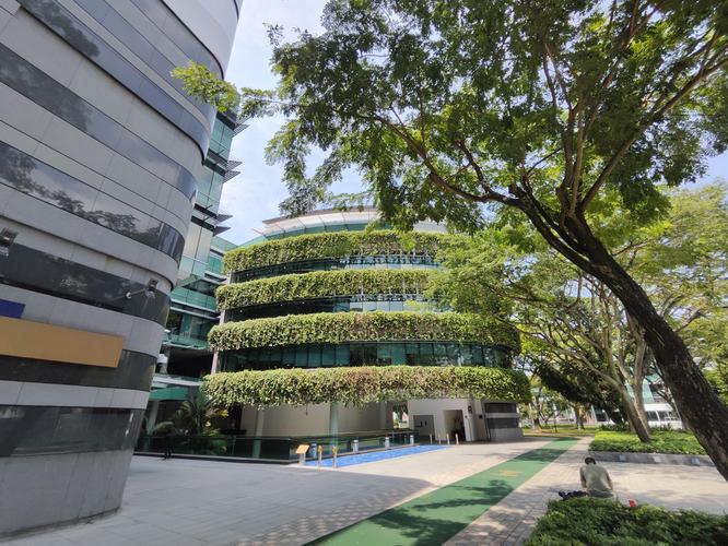 新加坡smu是哪个大学