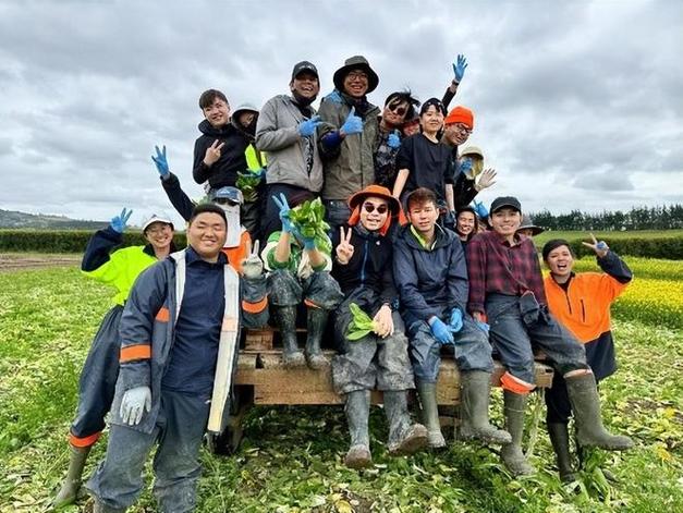 澳洲新西兰什么工作好找