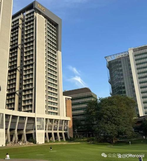 新加坡国立大学营销洞察