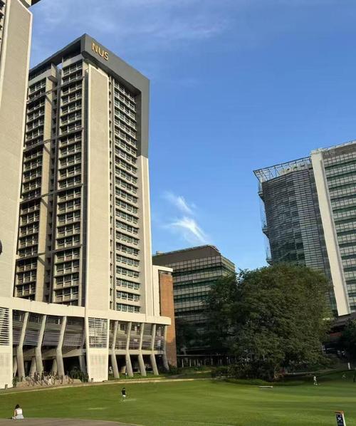 新加坡国立大学营销洞察