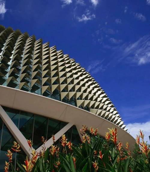 新加坡签证需要多长时间