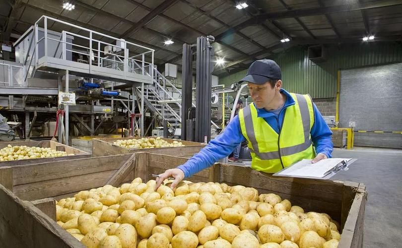 新加坡食品硕士工作情况