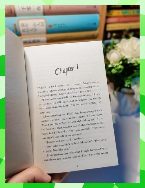 孩子初三想去新西兰读书