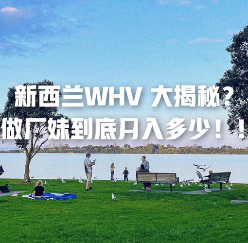 新西兰去哪个城市打工好