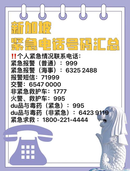 在新加坡的地址 怎么写