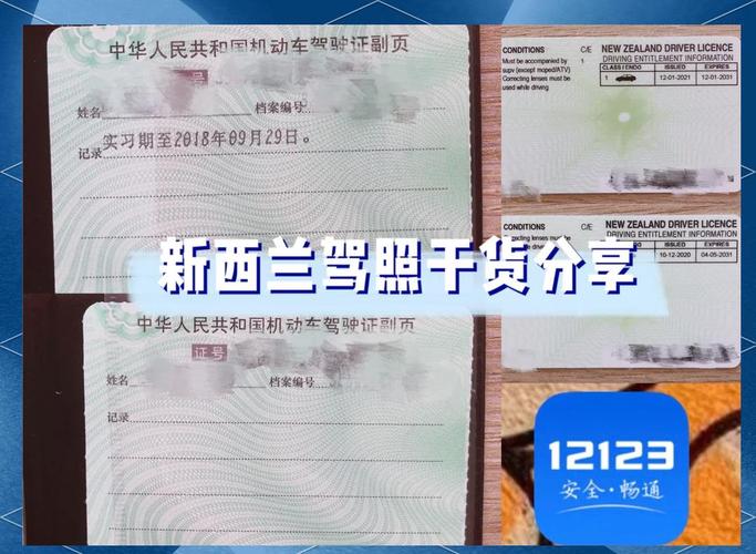 中国驾照能在新西兰开吗