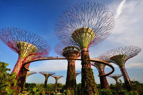 新加坡签证需要几天时间