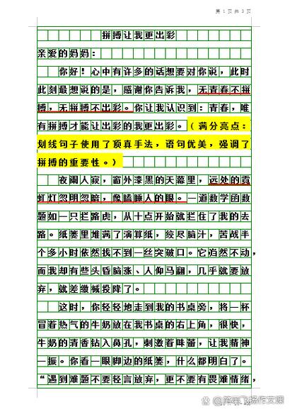 新加坡华文考试作文素材