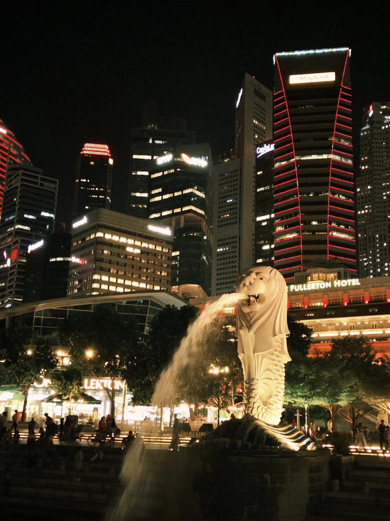 新加坡有哪几家金融地址