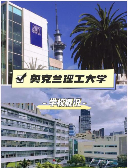 新西兰有什么文科专业吗