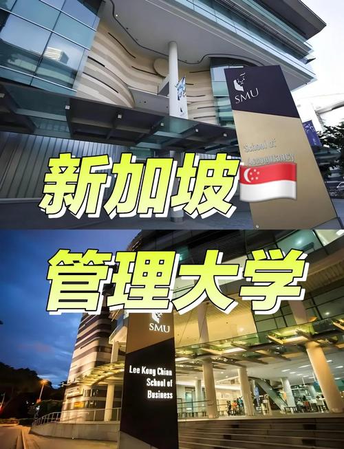 新加坡管理大学院系专业