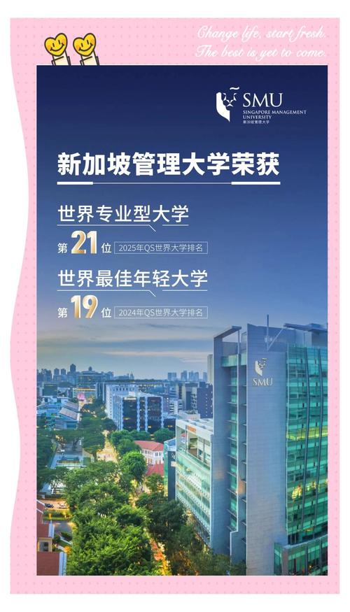 新加坡管理大学院系专业